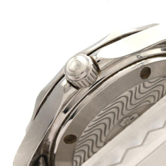 Omega Seamaster Professional 2552.80 Stainless Steel Automatic Watch — Good