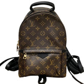 Louis Vuitton Palm Springs Backpack PM M44871 — New - Store Return