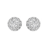 14K White Gold 1/2 Cttw Lab-Grown Diamond Halo Stud Earring (F-G Color, VS1-VS2 Clarity)