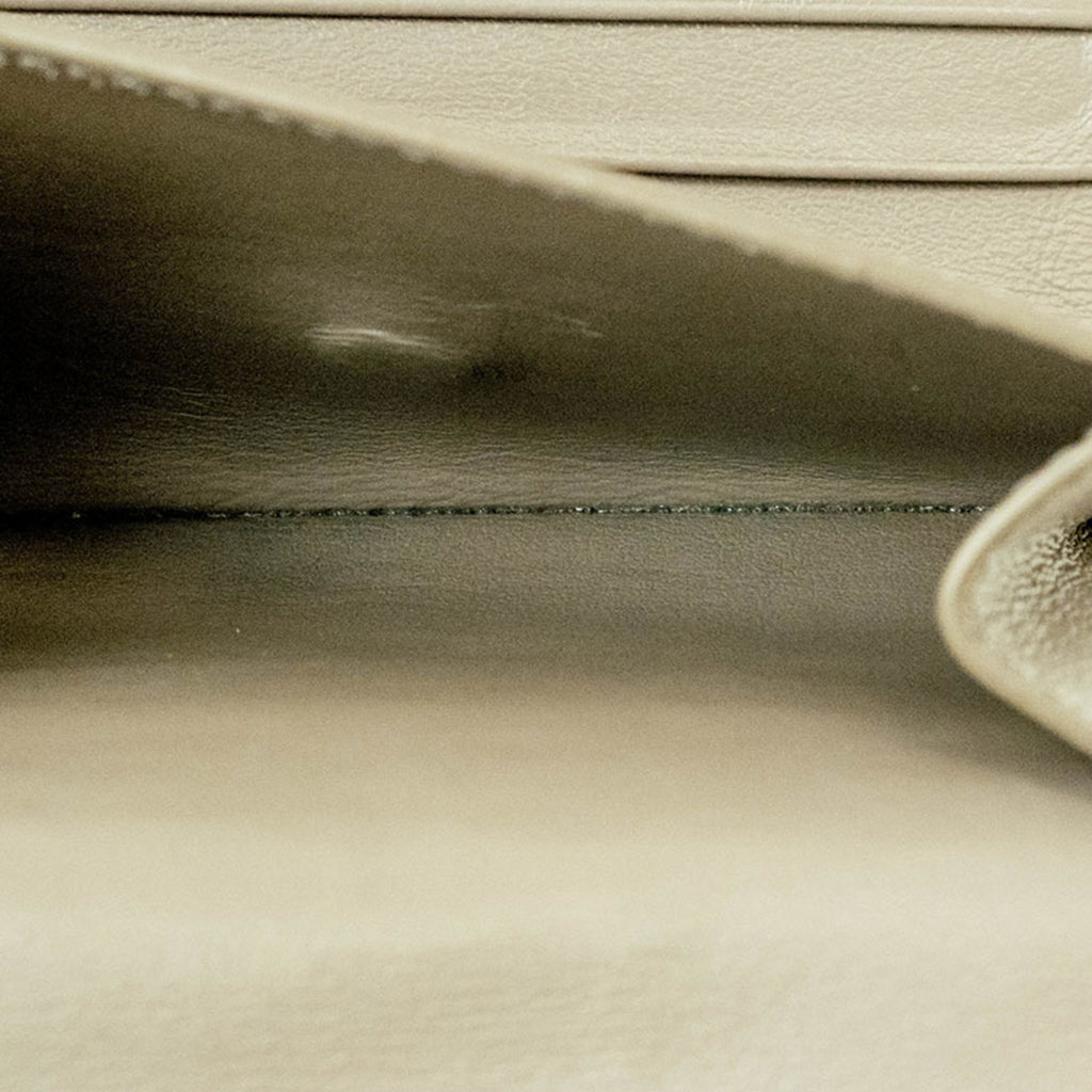 Celine Small Strap Wallet Bi-Color Bi-Fold Pebble Mineral 10H263BRU Women's CELINE