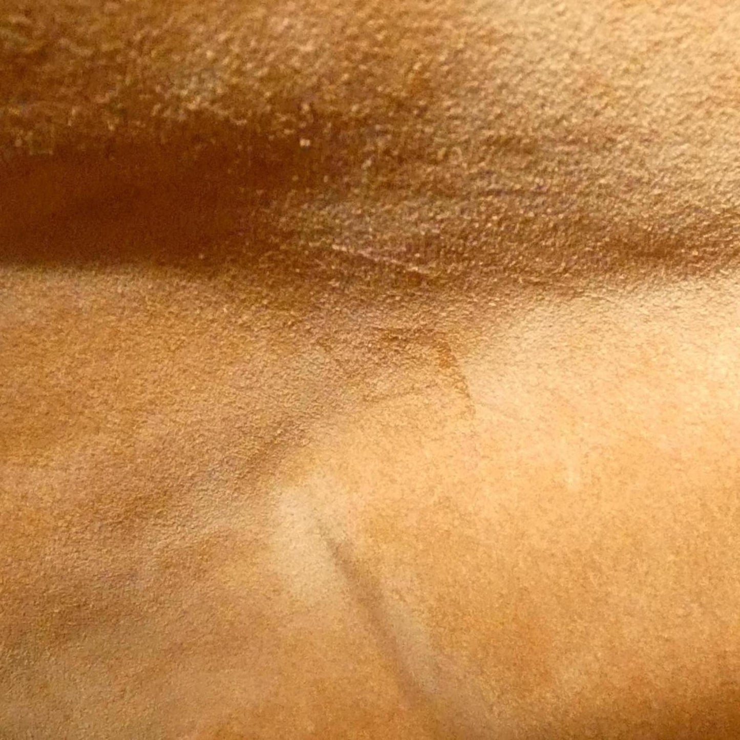 Louis Vuitton Lowkey Hobo PM M25354 Shoulder Bag