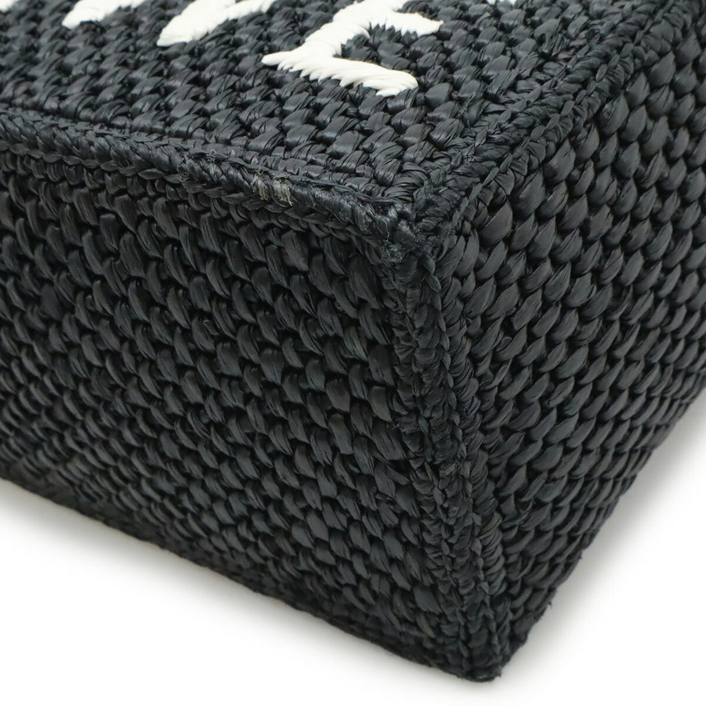 LOEWE Loewe Font Tote Small Bag Handbag Shoulder Raffia Black White A685B59X01