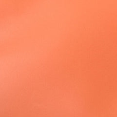 LOEWE Clutch Bag Second Unisex Pouch Lamb Leather Anagram Coral — Like New