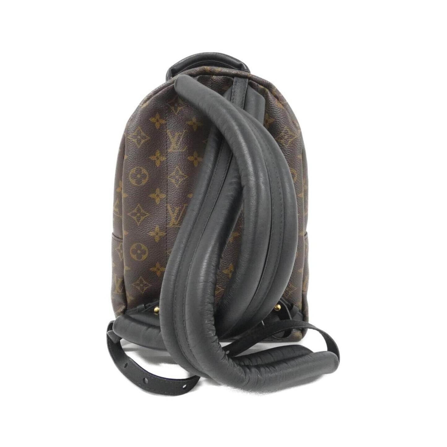 Louis Vuitton Monogram Reverse Palm Springs Backpack PM M44870