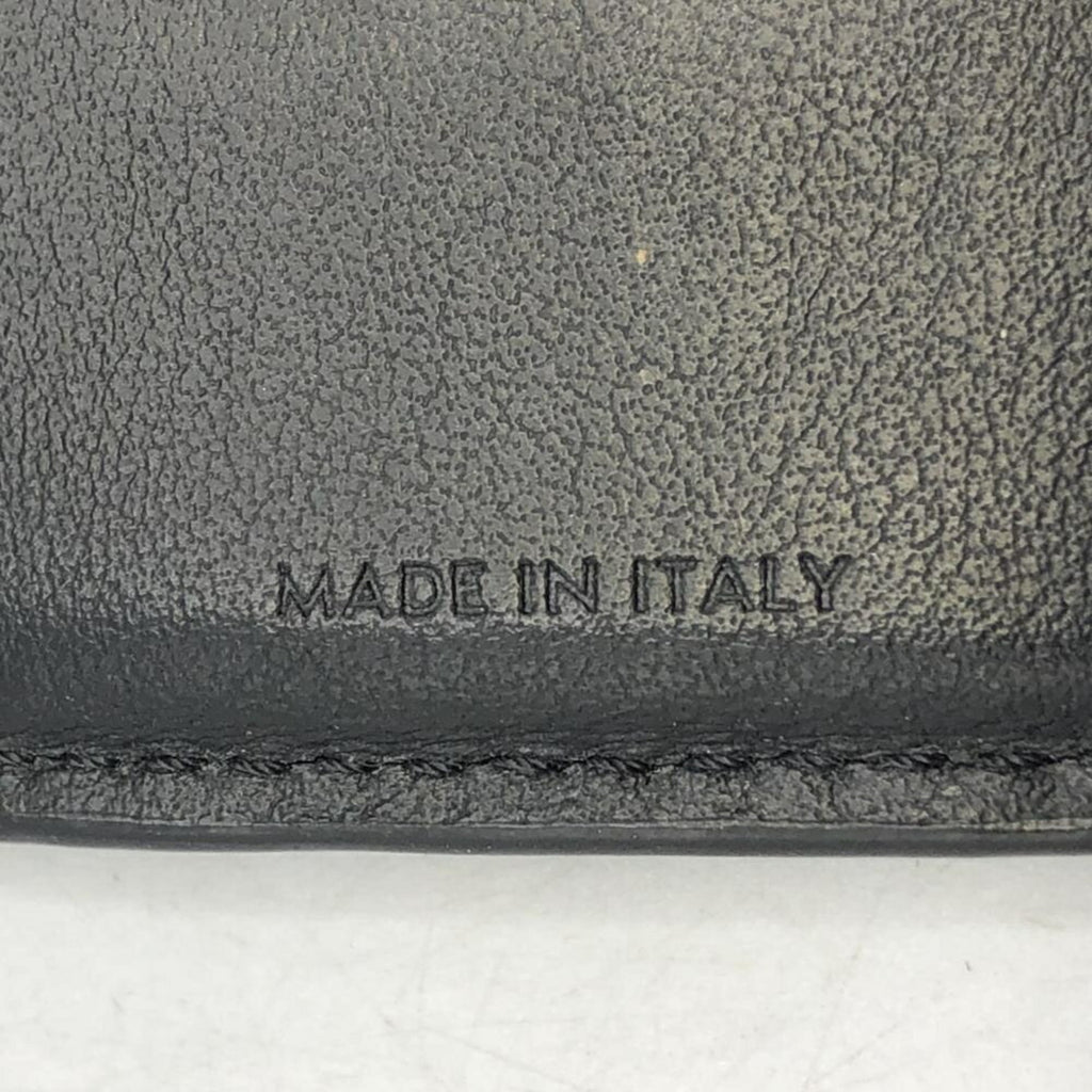 CELINE Triomphe Canvas Fine Strap Wallet F-FG-2232