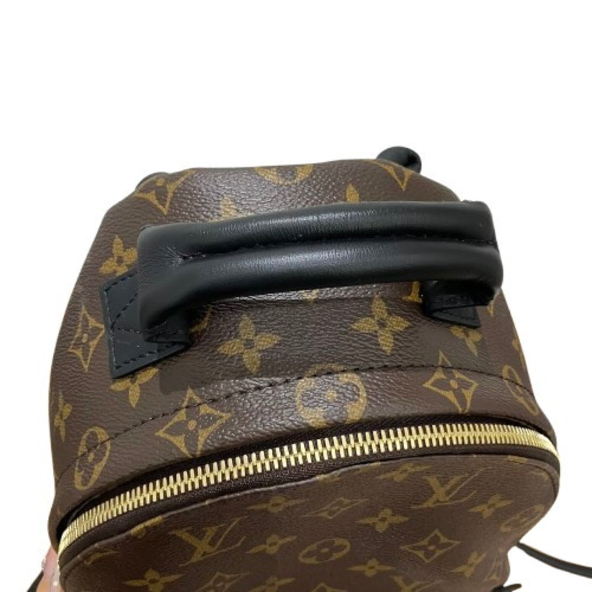 Louis Vuitton Palm Springs Backpack PM M44871 — New - Store Return