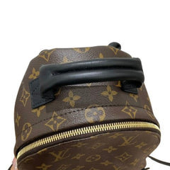 Louis Vuitton Palm Springs Backpack PM M44871 — New - Store Return