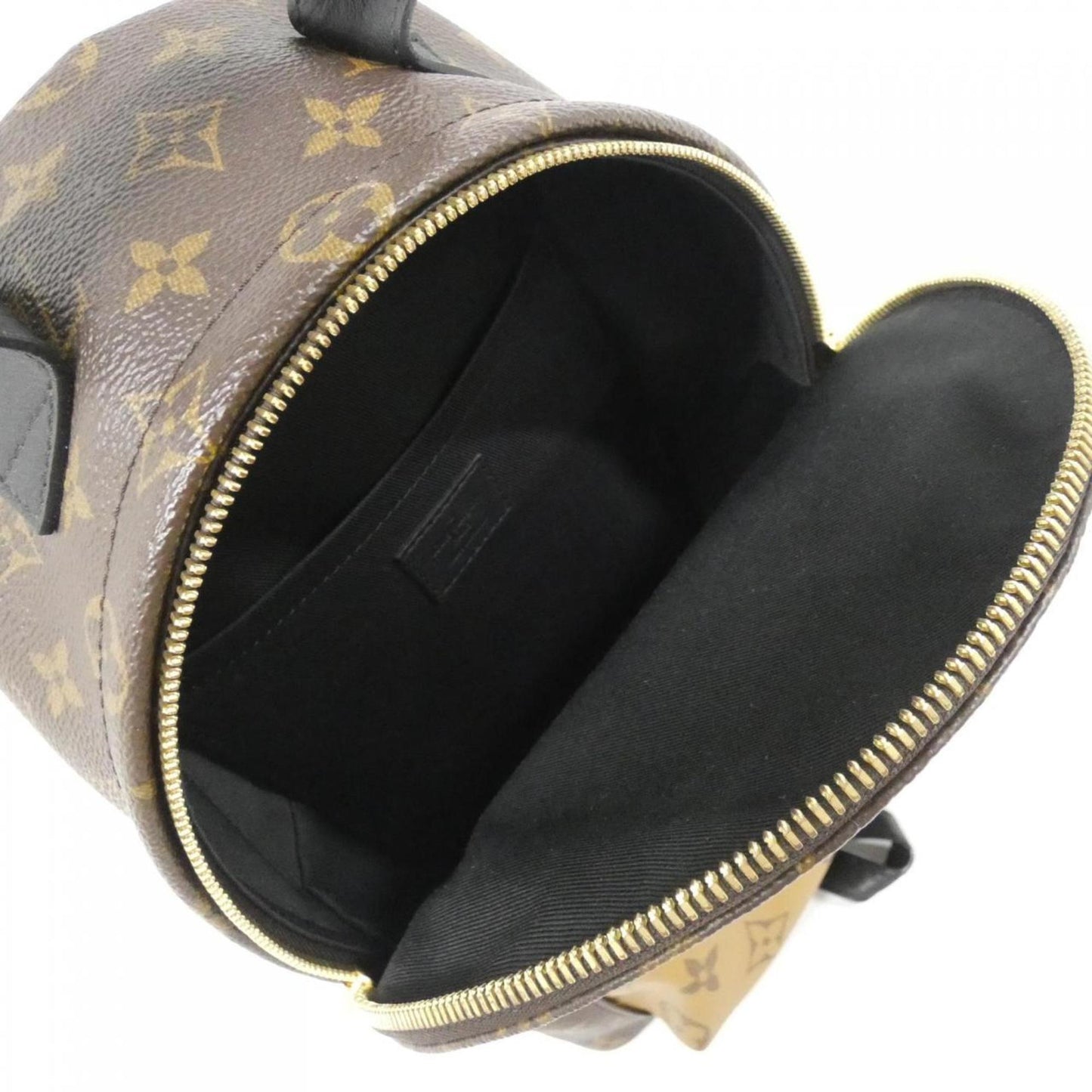 Louis Vuitton Monogram Reverse Palm Springs Backpack PM M44870