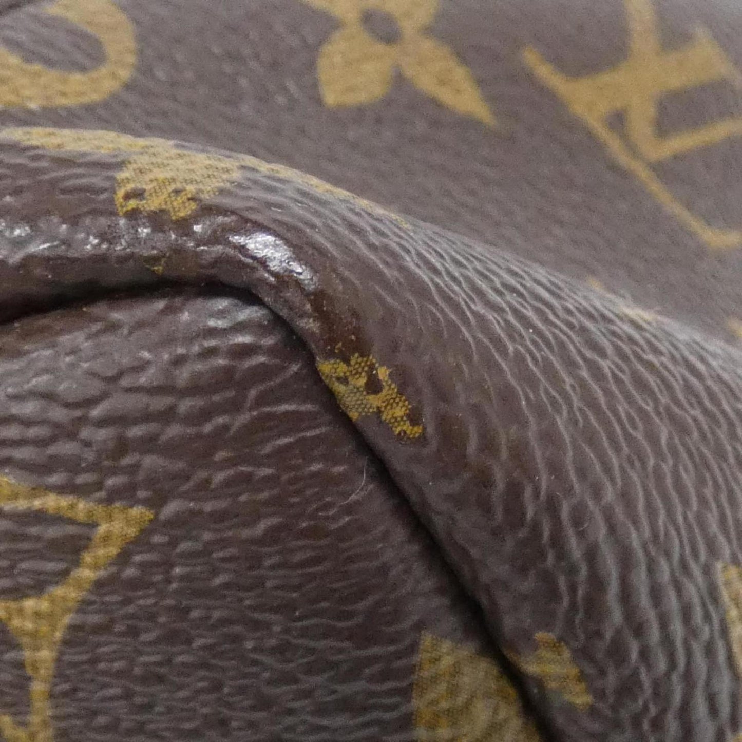 Louis Vuitton Monogram Reverse Palm Springs Backpack PM M43116
