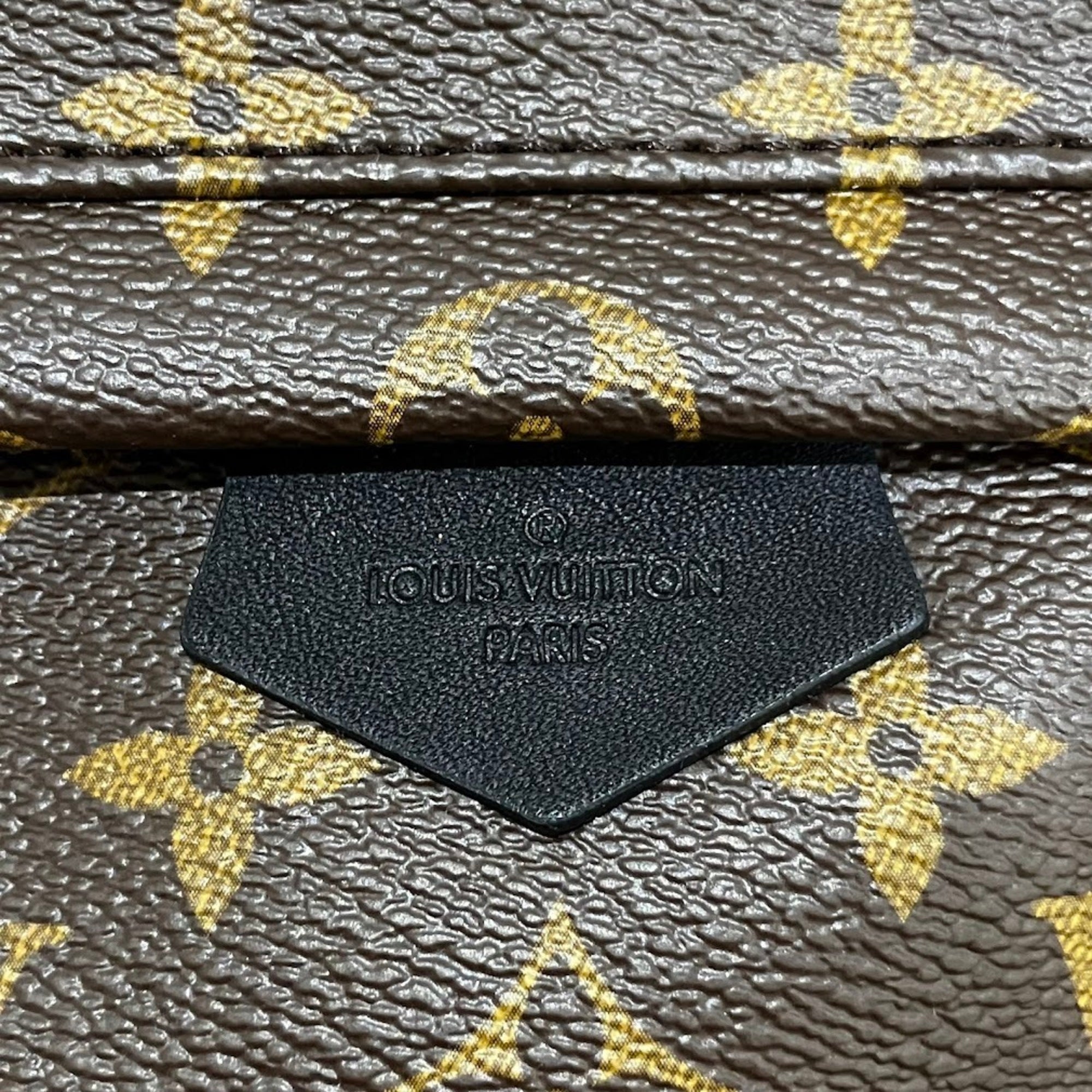 Louis Vuitton Palm Springs Backpack PM M44871 — New - Store Return