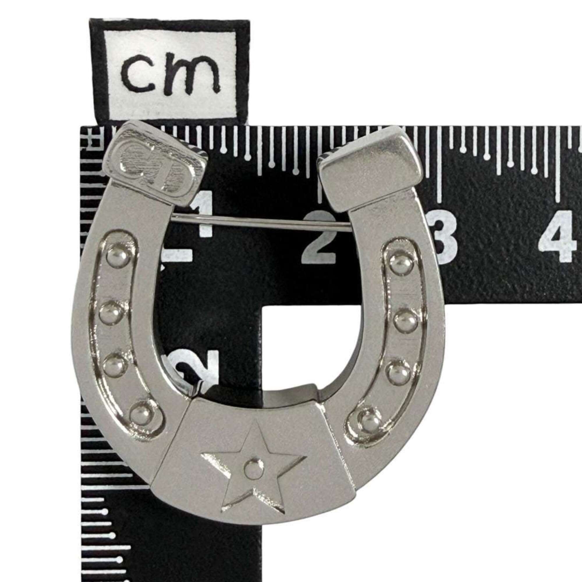 Christian Dior Dior Men's Horseshoe Pin Brooch, Silver Color — Like New