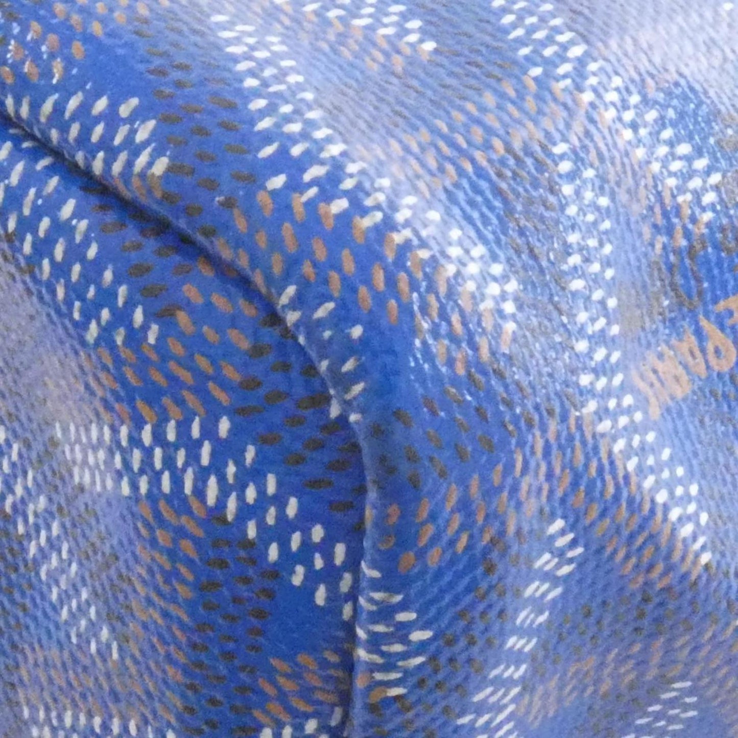 Goyard Saint Louis PM AMA LOUIS handbag