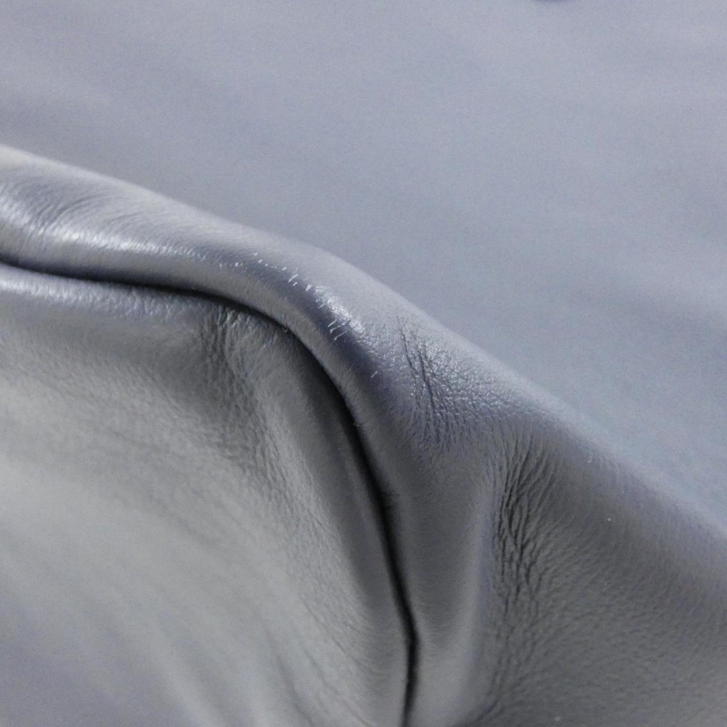 Goyard Ange Seahorse Embroidery PM Handbag