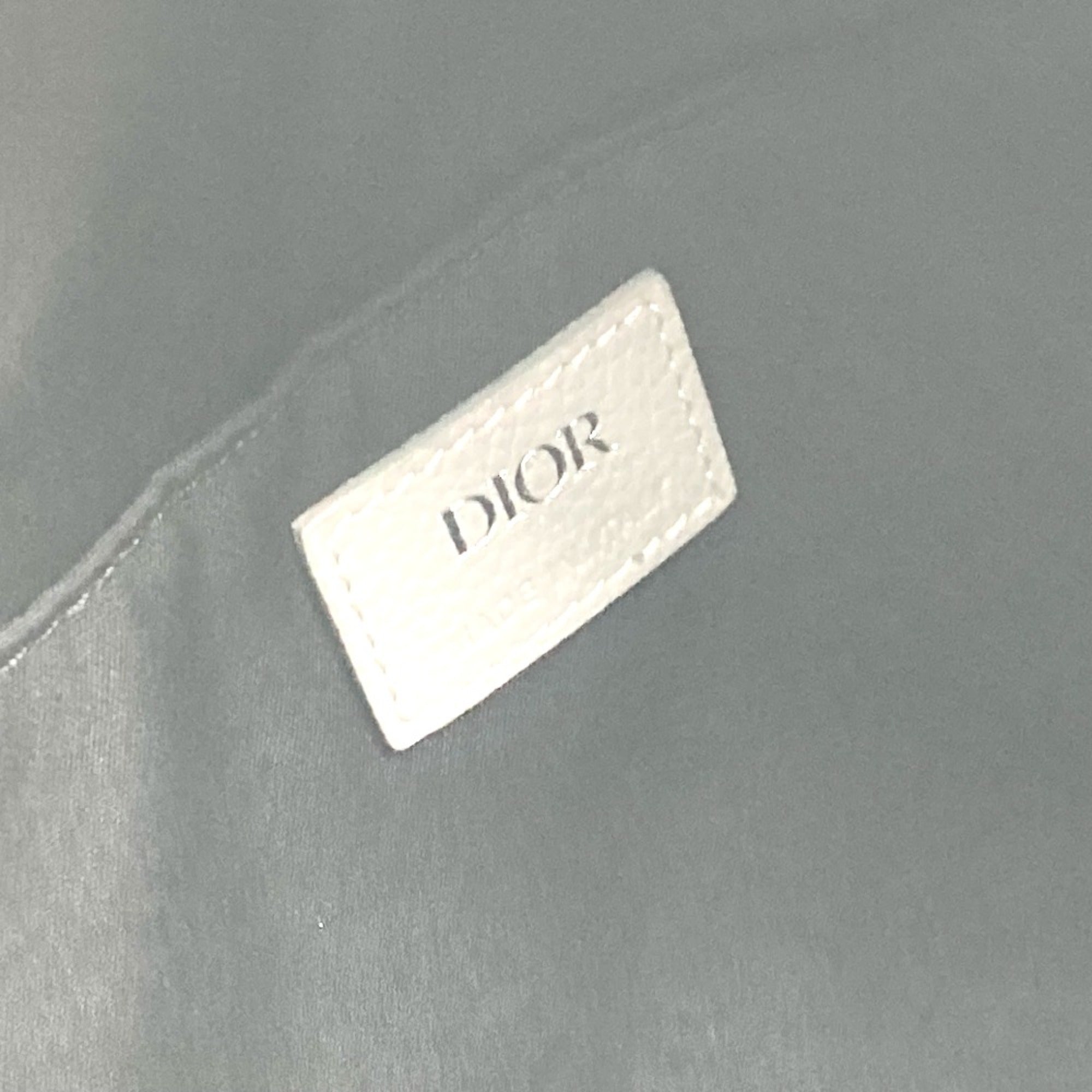 CHRISTIAN DIOR 1ESBA088NFS rider Bag Backpack gray — Like New