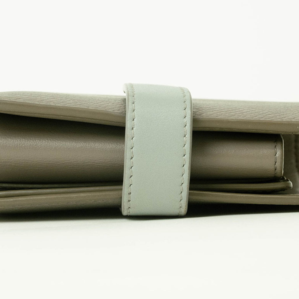 Celine Small Strap Wallet Bi-Color Bi-Fold Pebble Mineral 10H263BRU Women's CELINE