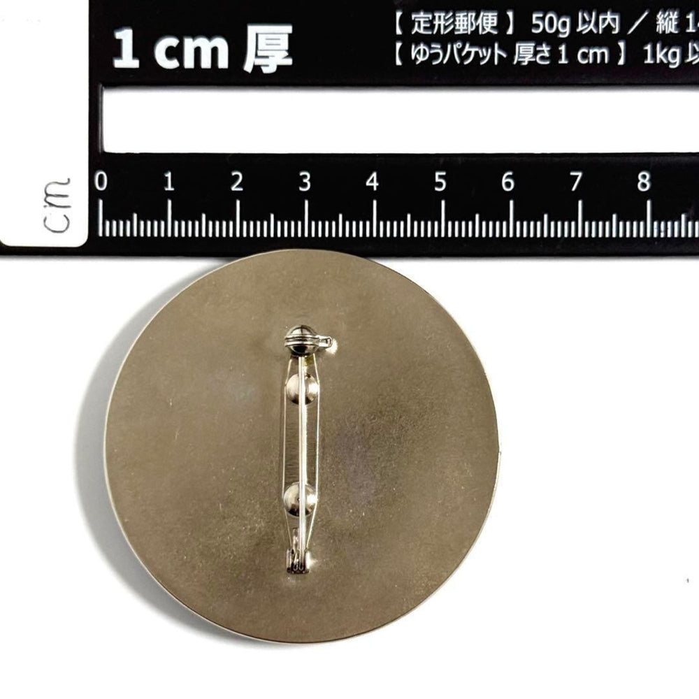 Celine Men's Women's Triomphe Brooch Pin Badge — Like New