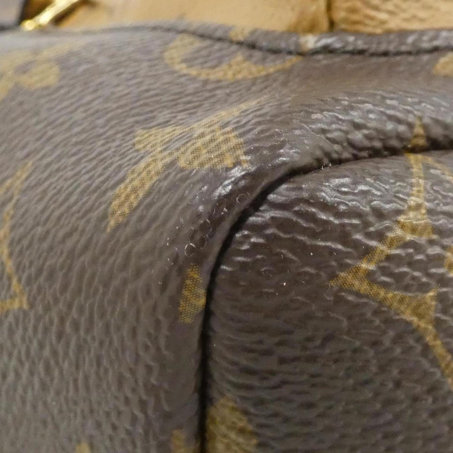 Louis Vuitton Monogram Reverse Palm Springs Backpack PM M44870