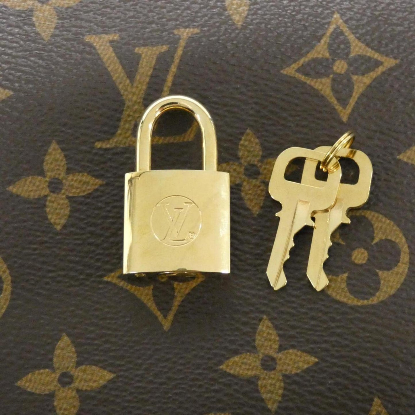 Louis Vuitton Monogram Petit Palais PM M45900 Handbag