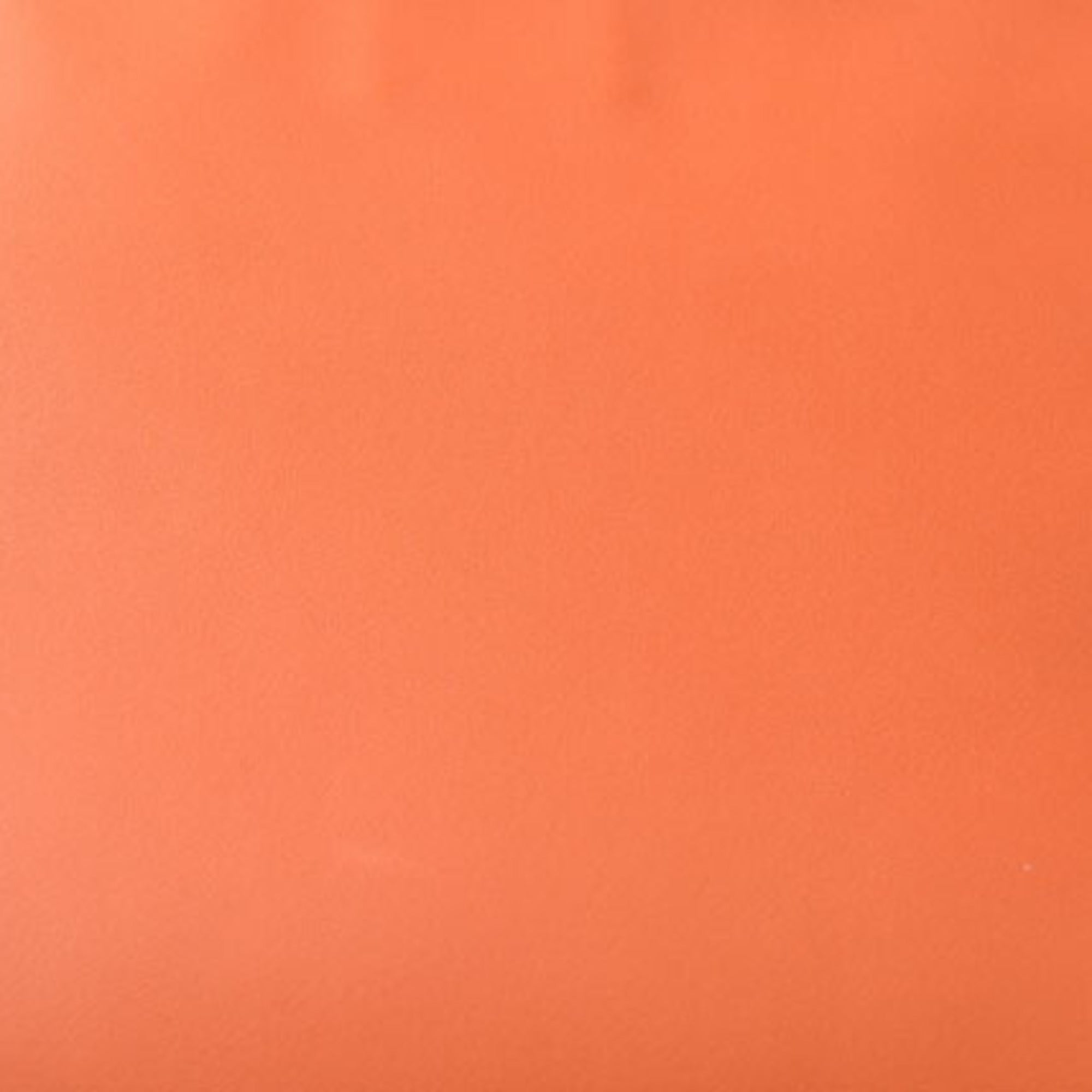LOEWE Clutch Bag Second Unisex Pouch Lamb Leather Anagram Coral — Like New