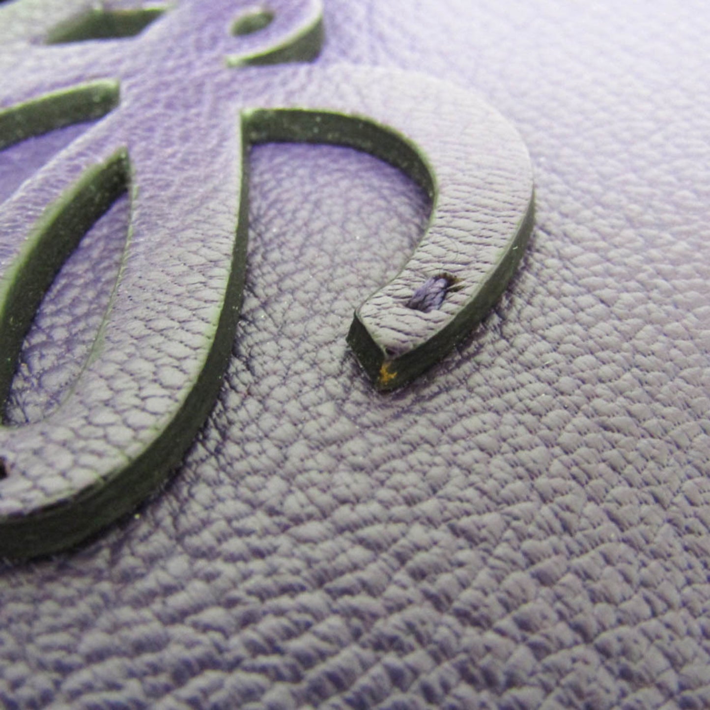 Loewe Amazona 36 Women's Leather Handbag Purple