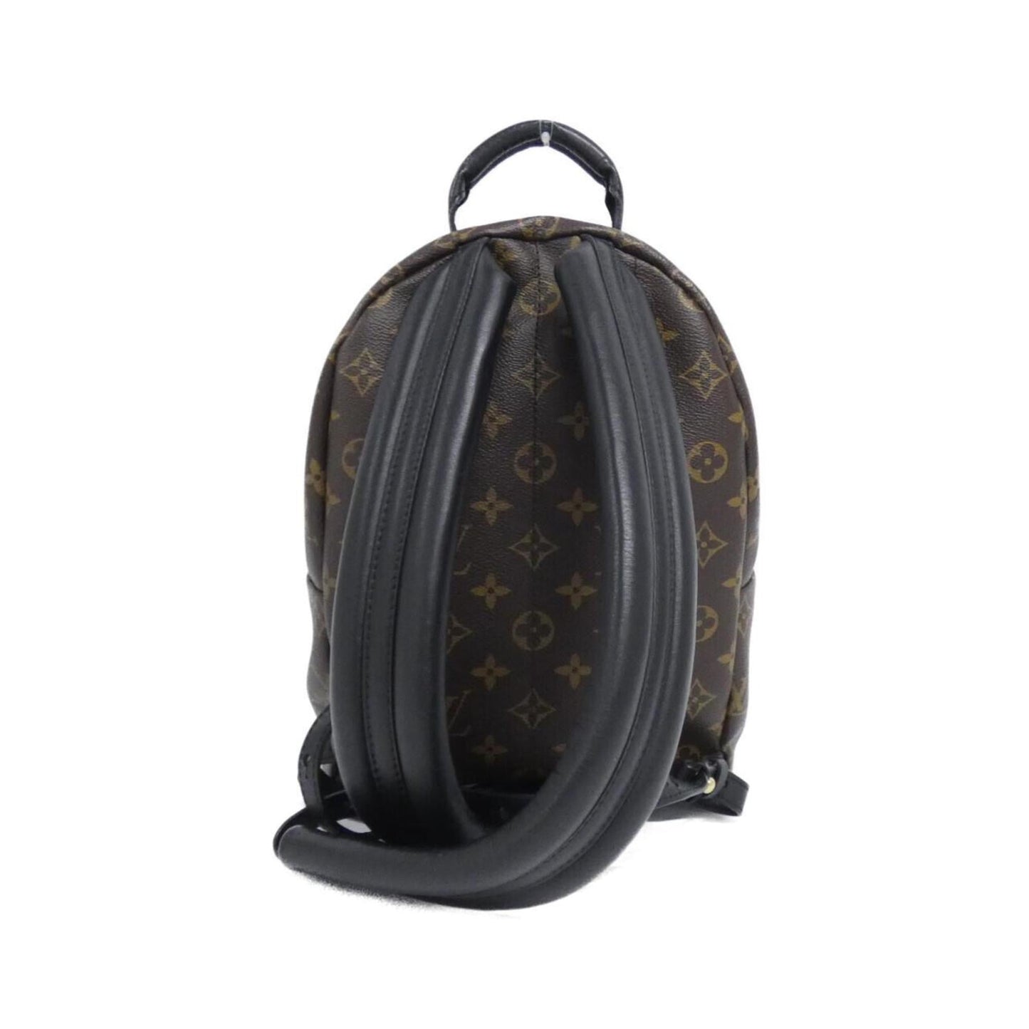 Louis Vuitton Monogram Reverse Palm Springs Backpack PM M43116