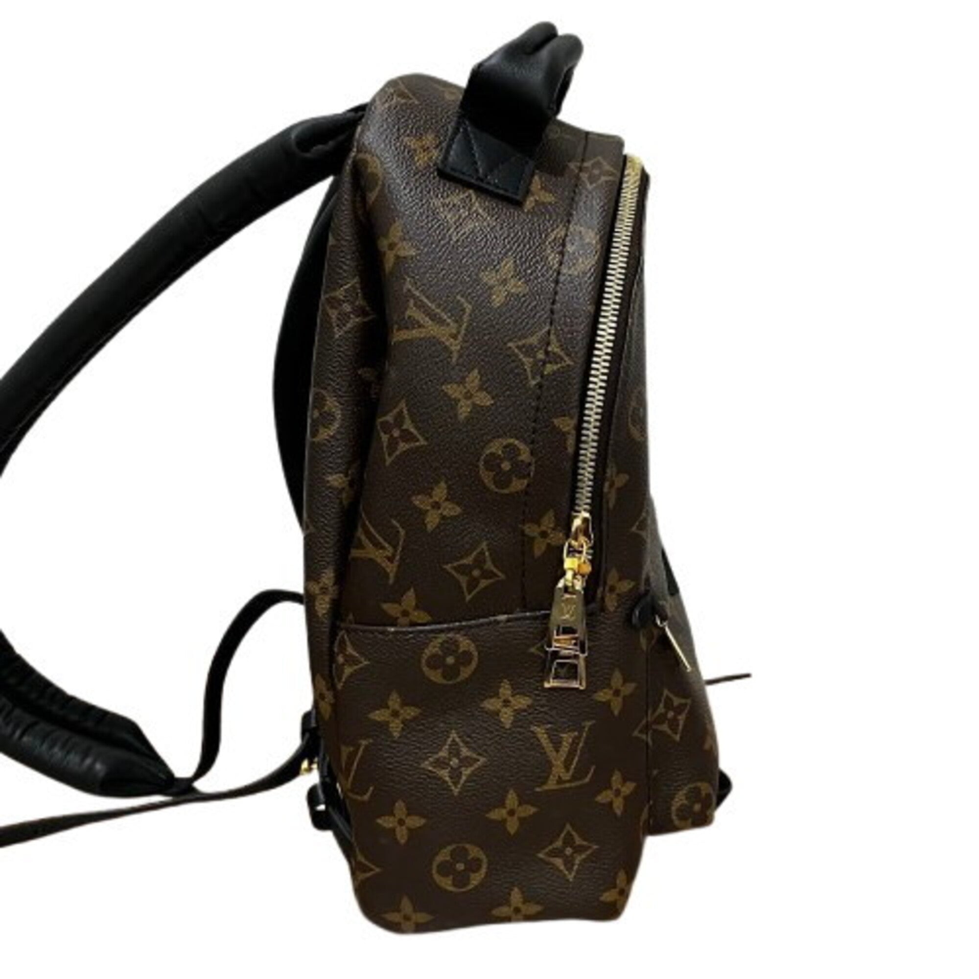 Louis Vuitton Palm Springs Backpack PM M44871 — New - Store Return