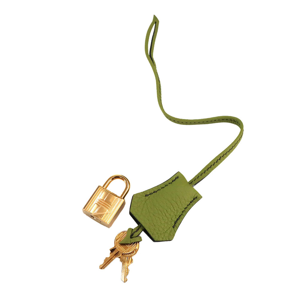 Hermes Birkin 35 Personal SPO Togo Pistachio Blue Orage Handbag □Q Stamp Gold Hardware — New - Store Return