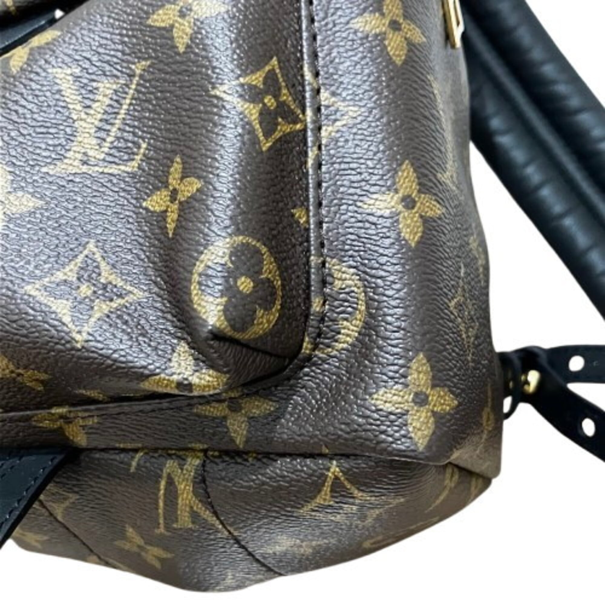 Louis Vuitton Palm Springs Backpack PM M44871 — New - Store Return