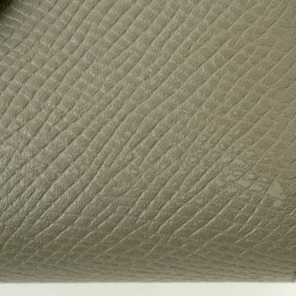 Celine Small Strap Wallet Bi-Color Bi-Fold Pebble Mineral 10H263BRU Women's CELINE