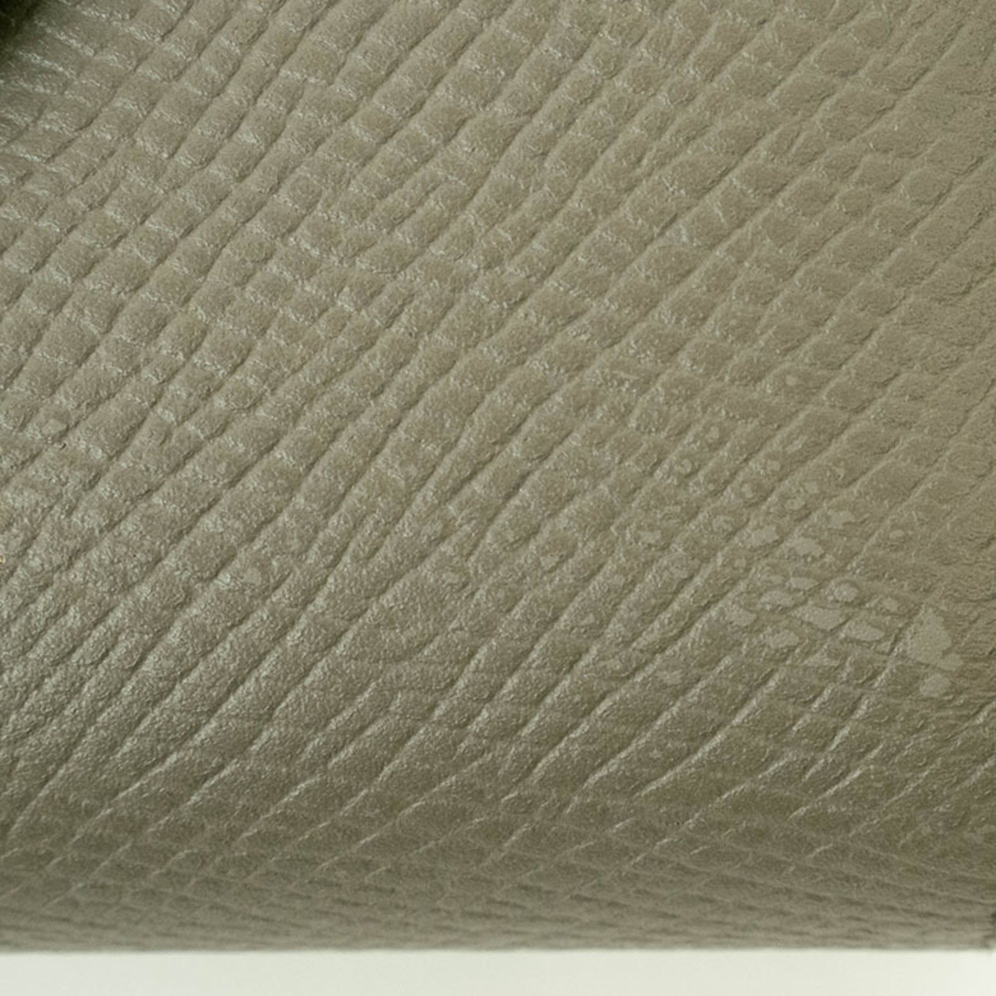 Celine Small Strap Wallet Bi-Color Bi-Fold Pebble Mineral 10H263BRU Women's CELINE