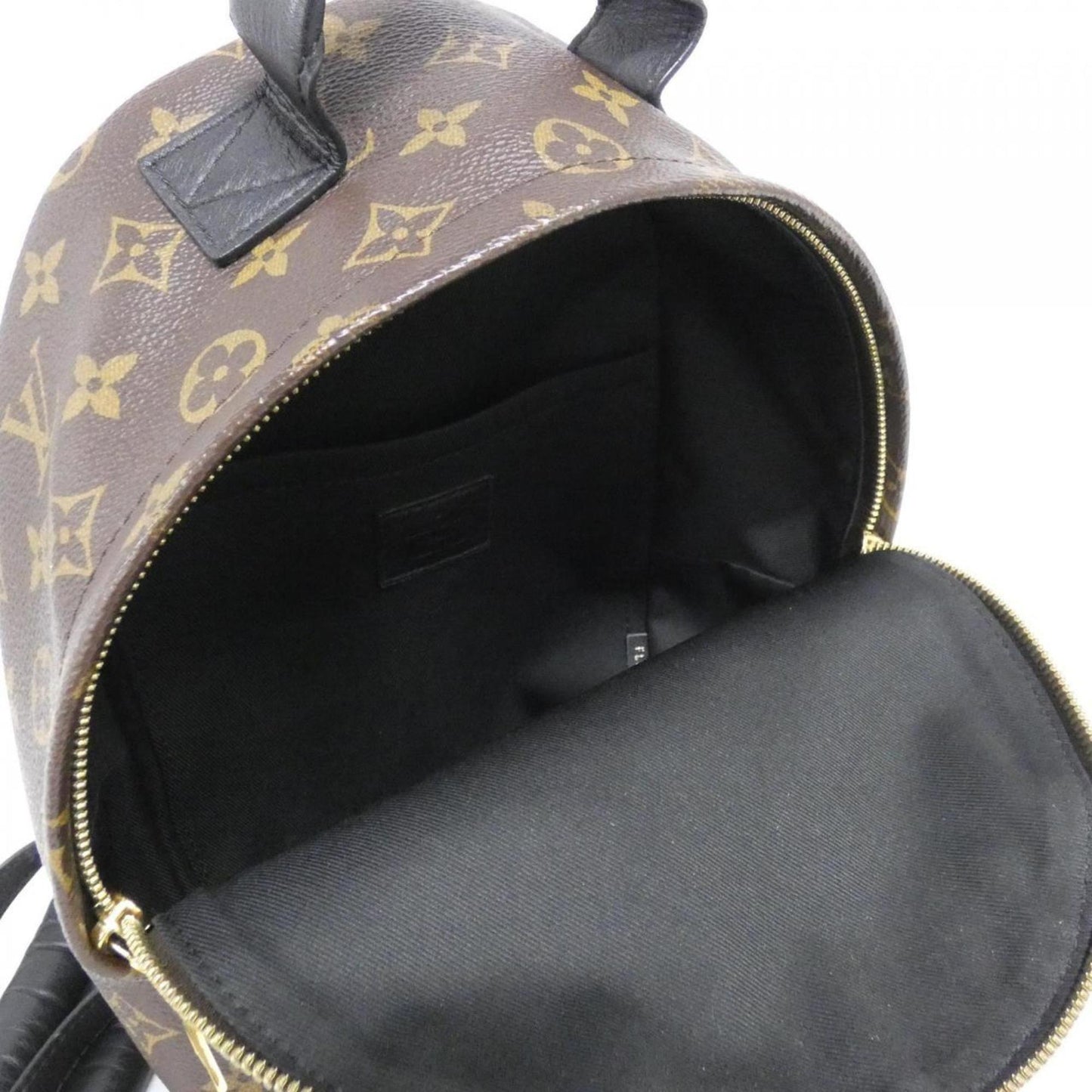 Louis Vuitton Monogram Reverse Palm Springs Backpack PM M43116