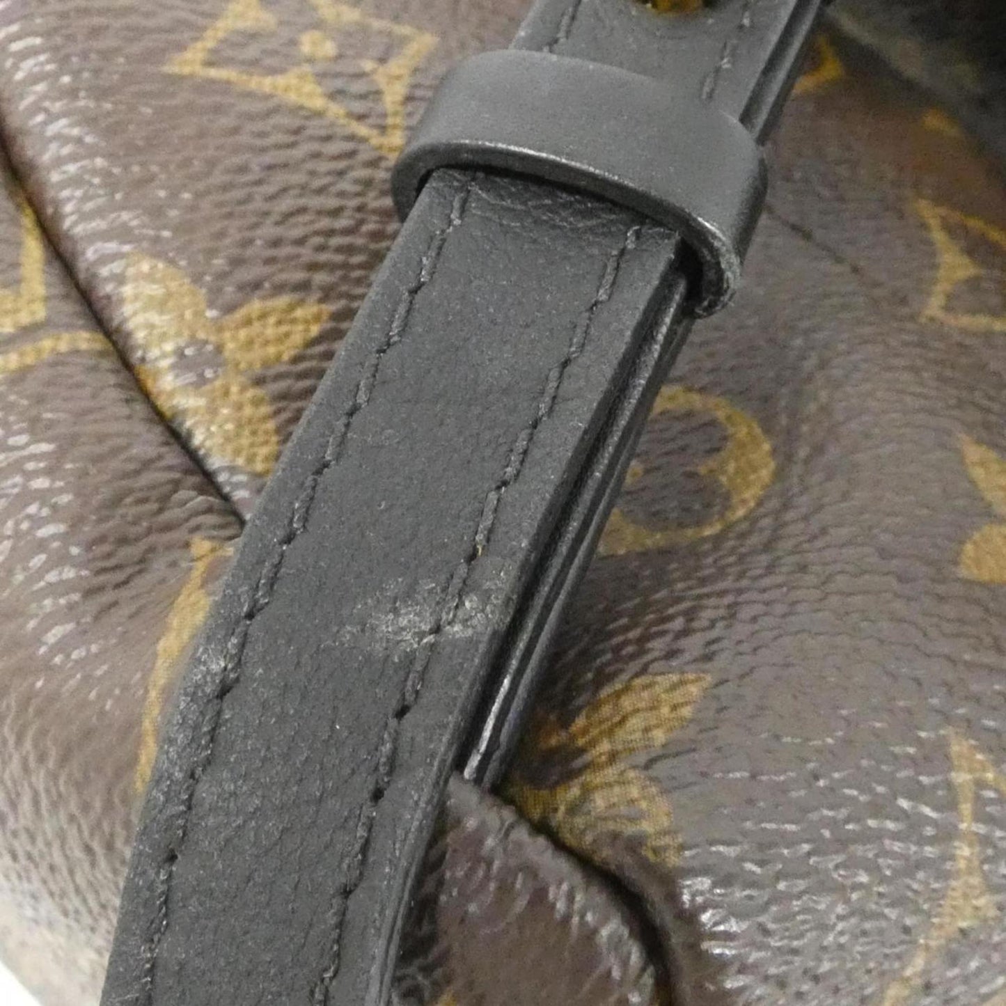 Louis Vuitton Monogram Reverse Palm Springs Backpack PM M44870