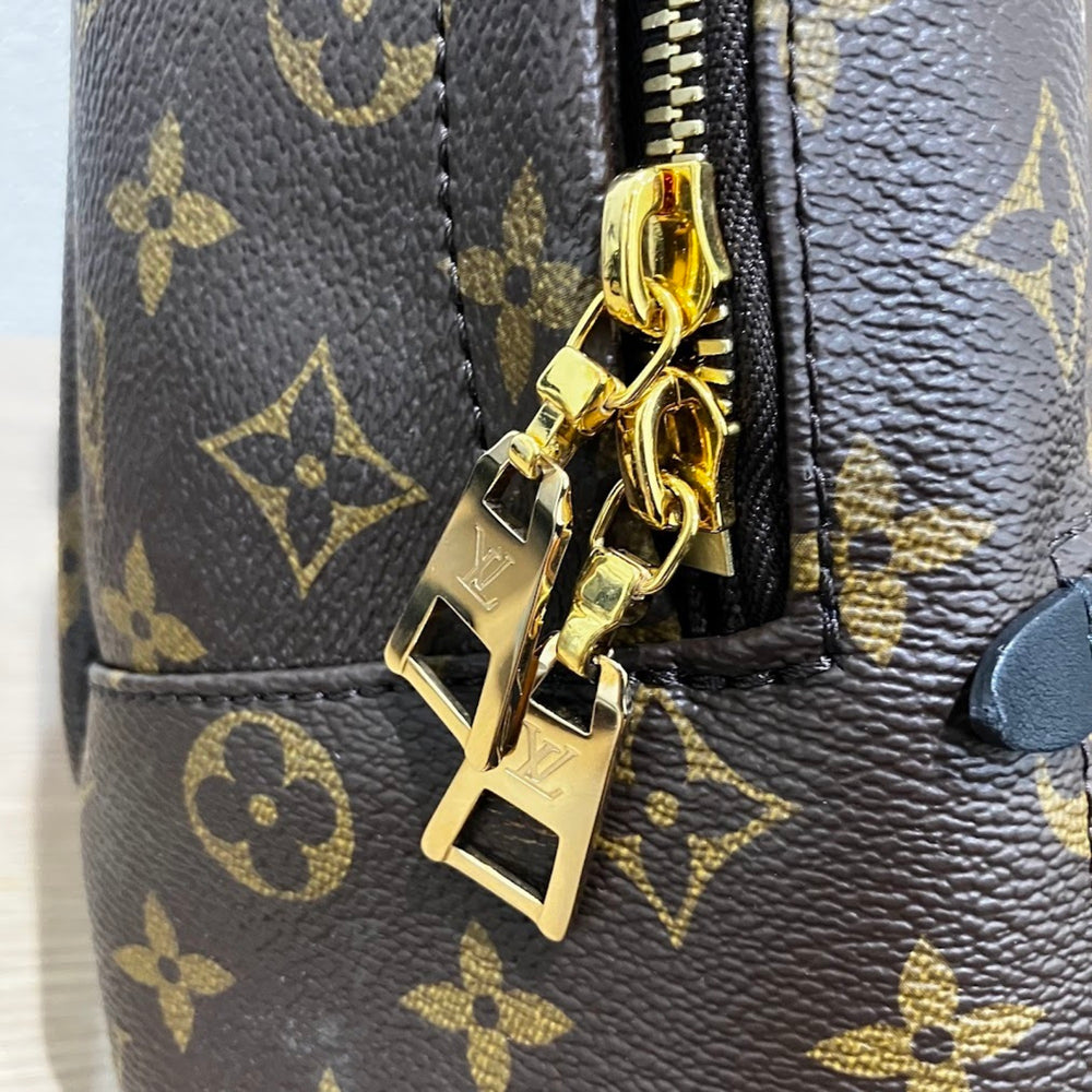 Louis Vuitton Palm Springs Backpack PM M44871 — New - Store Return