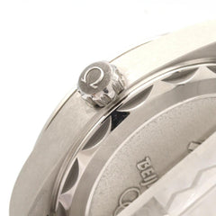 Omega Seamaster Aqua Terra Beijing 2022 522.10.41.21.04.001 Stainless Steel Automatic Watch — Good