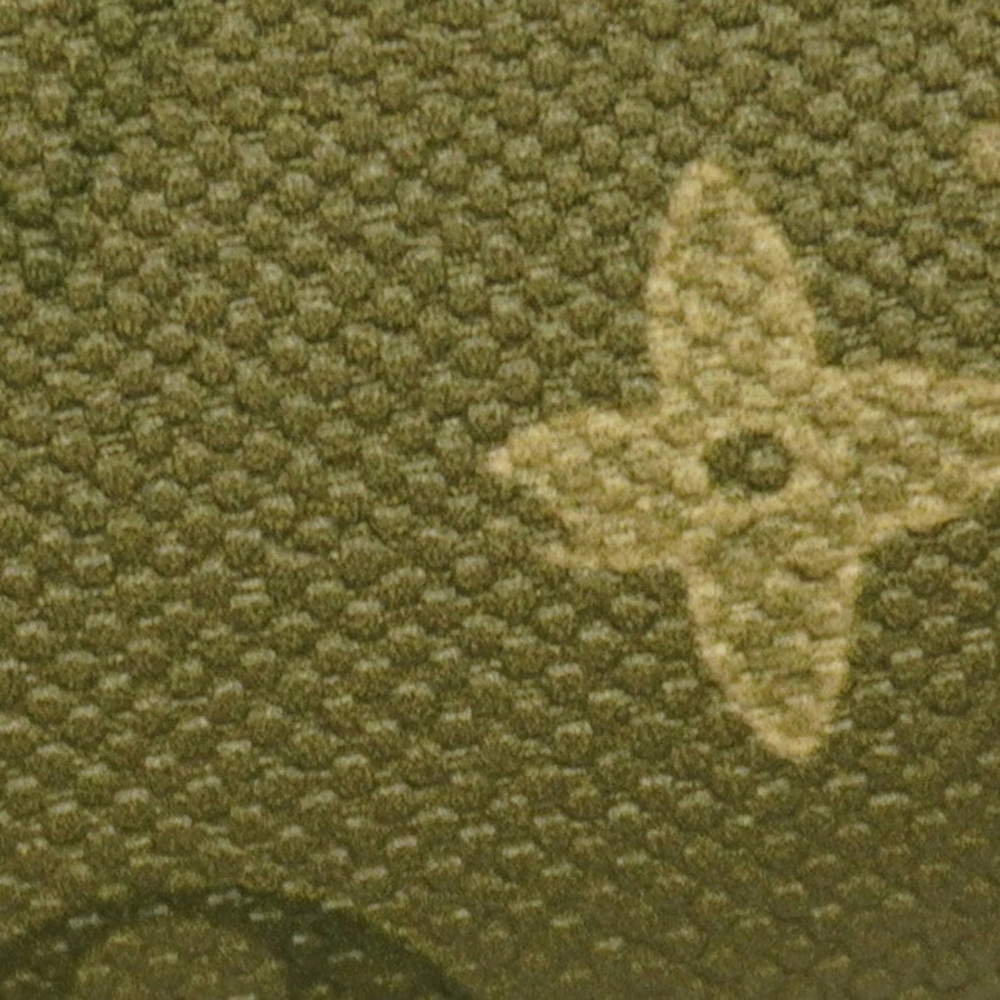 Louis Vuitton Monogram Surplus Rush Bum Bag M26933 Khaki Men's Body