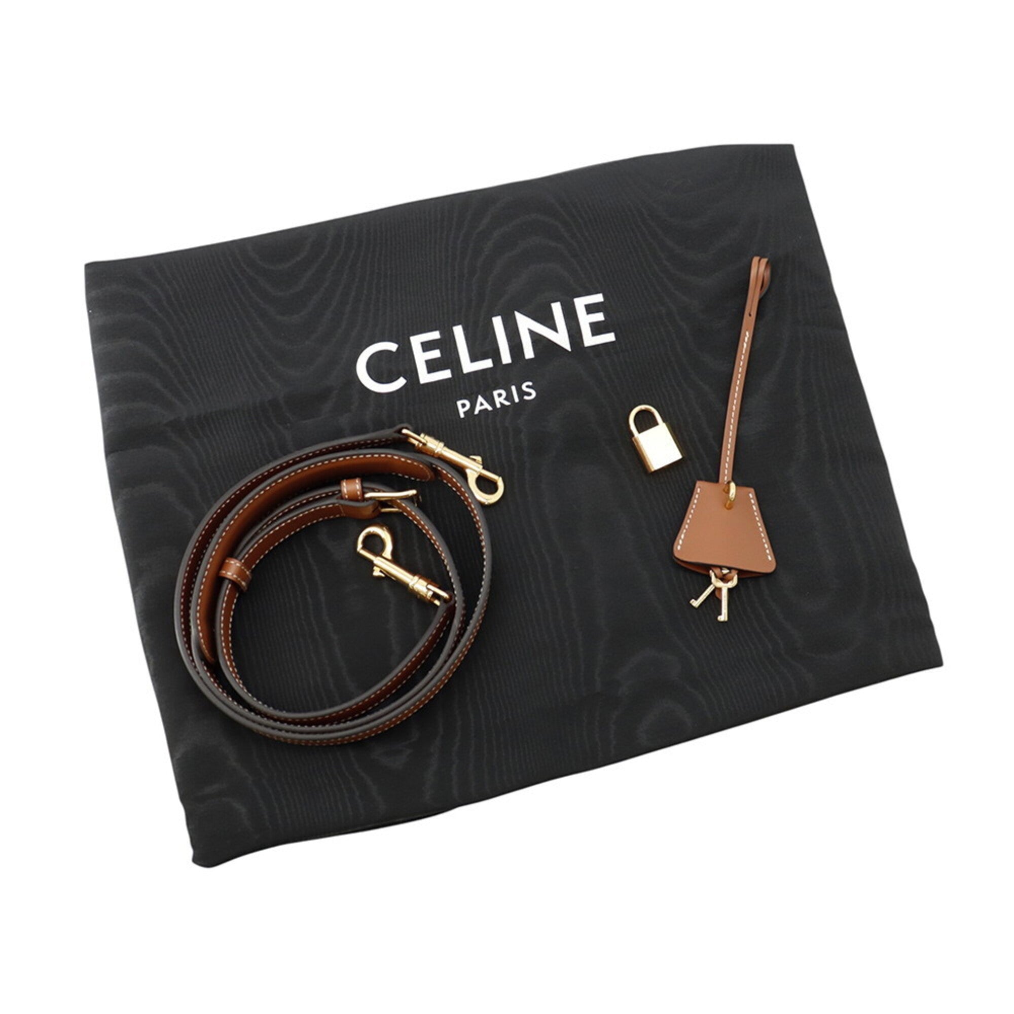 Celine Boston bag, leopard print, Triomphe leather, CELINE 2-way shoulder handbag — Like New