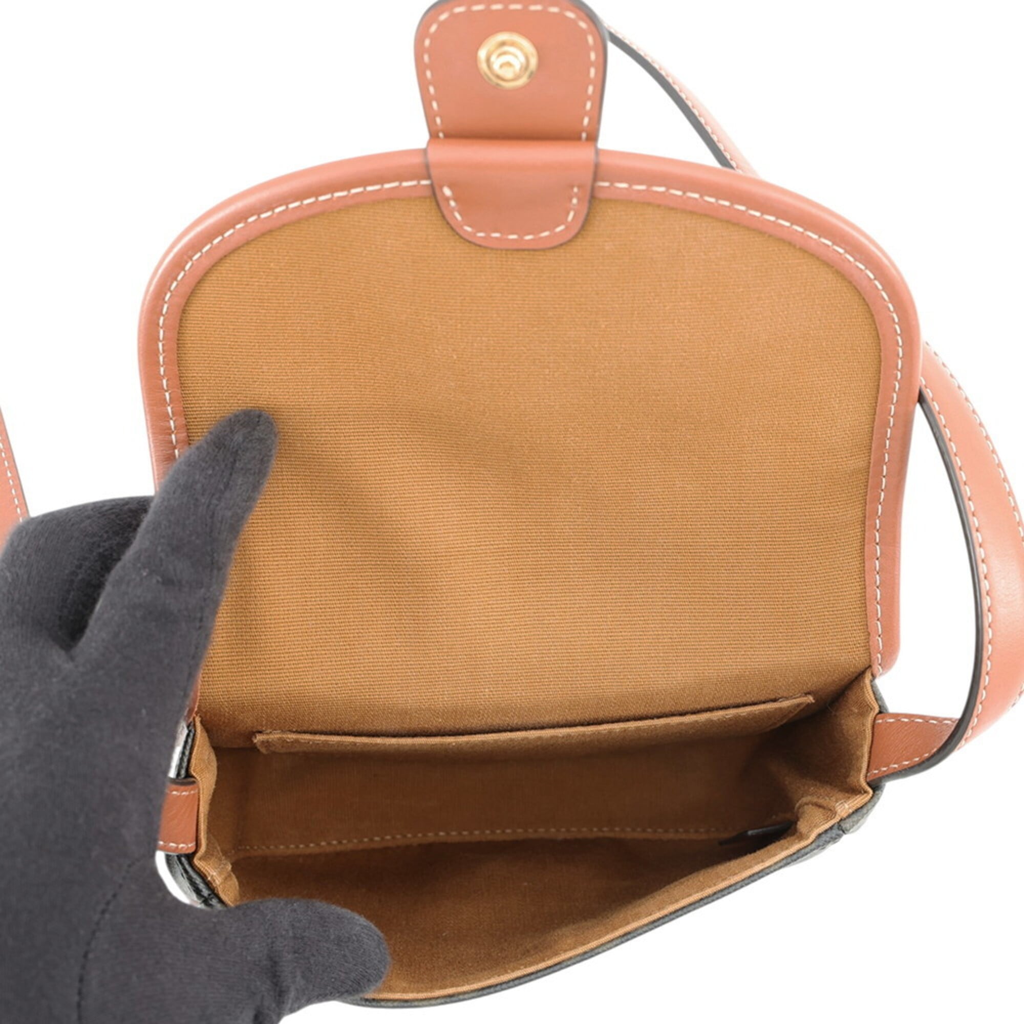 Celine Shoulder Bag Mini Besace Triomphe 196702BZJ.04LU CELINE Handbag Pouch — Like New