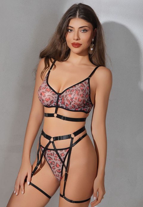 Leopard Print Bra and Brief Set with Garters