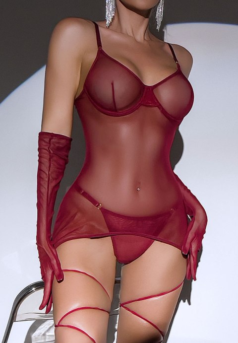 Shockingly Sheer Chemise Set