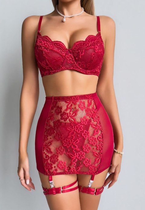 Red Garter Belt Lingerie Set with Matching Bra